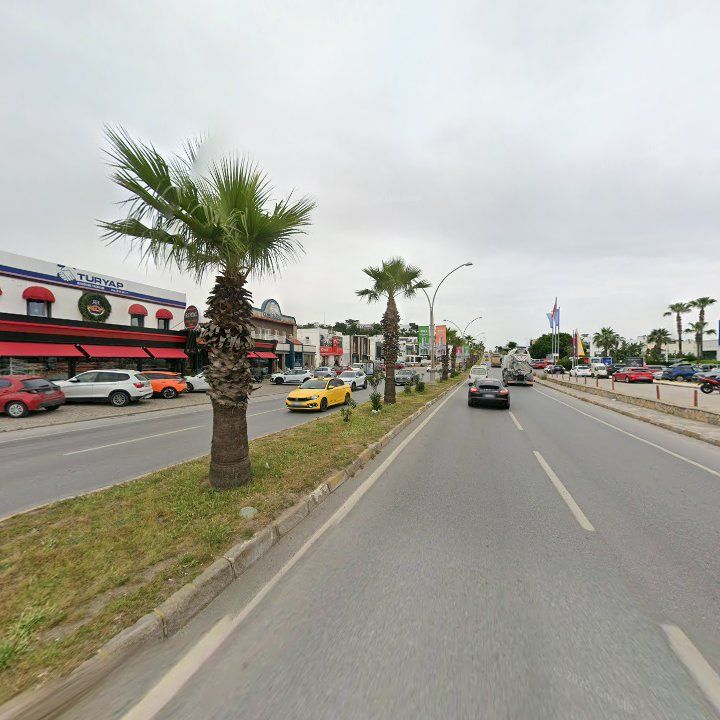 Fotoğraf 9