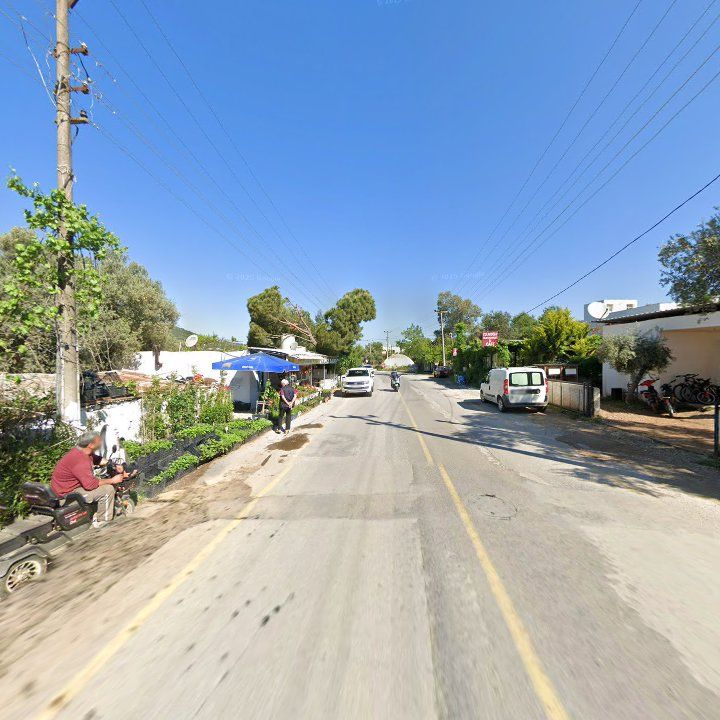 Fotoğraf 9