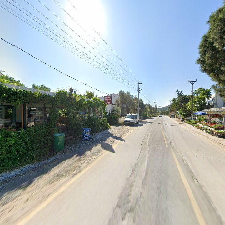Fotoğraf 10