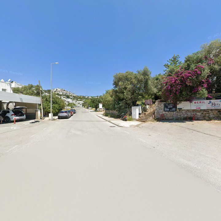 Fotoğraf 8