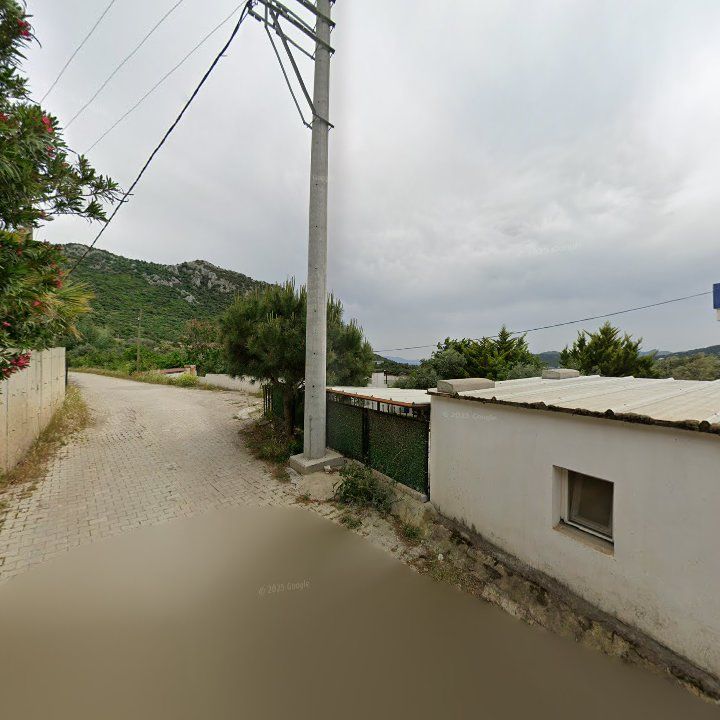 Fotoğraf 11