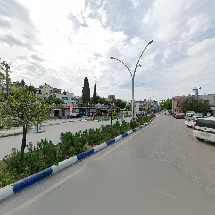 Fotoğraf 8