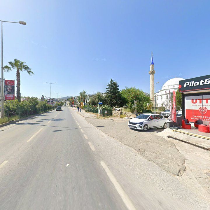 Fotoğraf 11