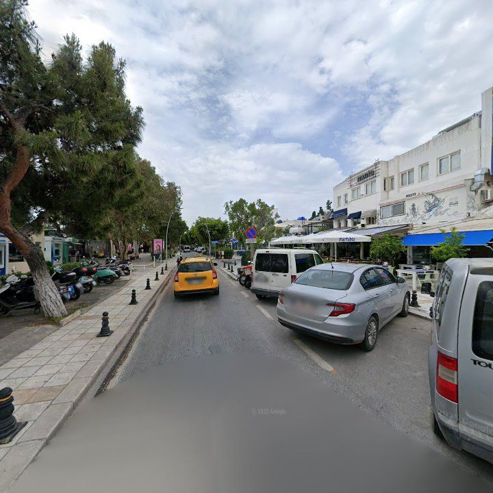 Fotoğraf 11