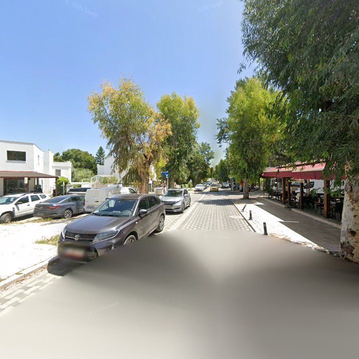 Fotoğraf 11