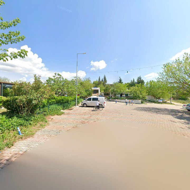 Fotoğraf 9