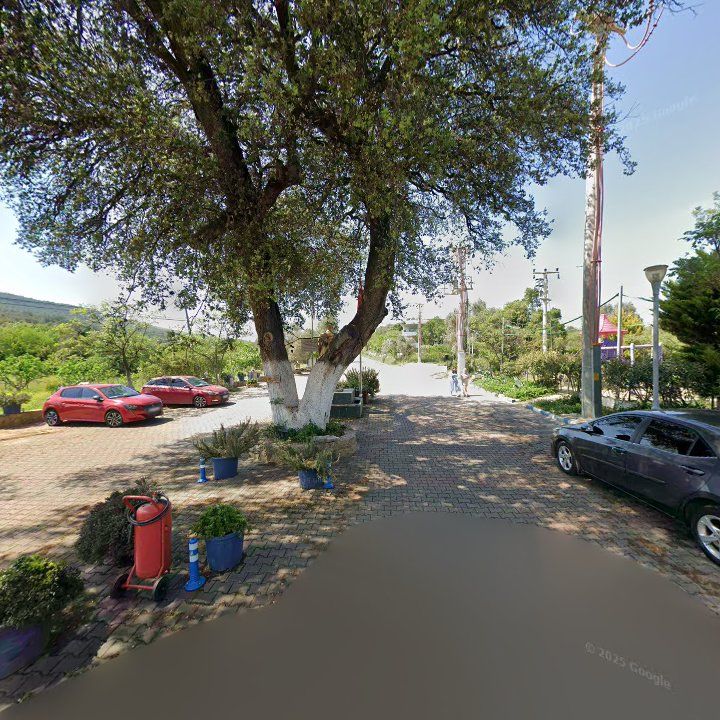 Fotoğraf 11