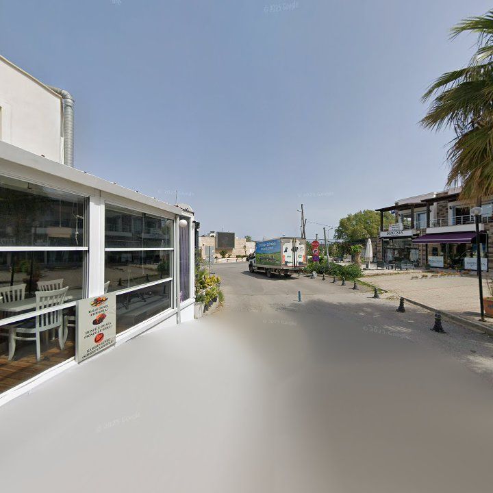 Fotoğraf 11