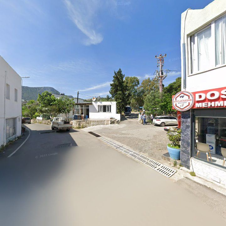 Fotoğraf 8