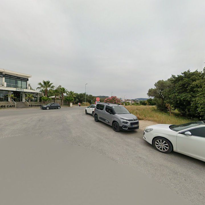 Fotoğraf 12