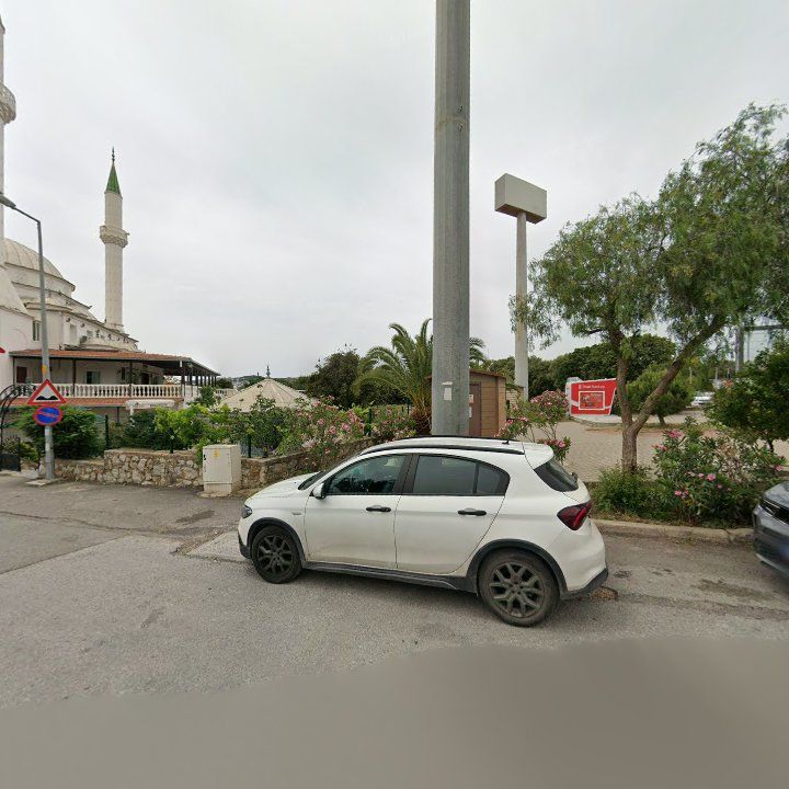 Fotoğraf 14