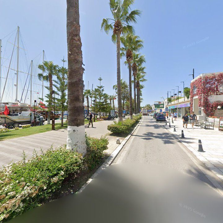 Fotoğraf 11