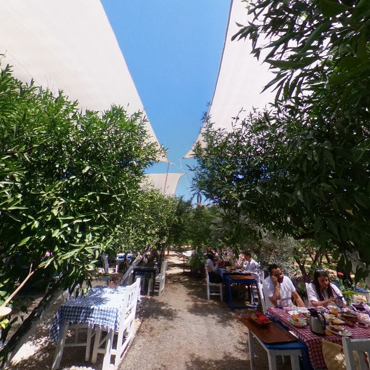 Fotoğraf 11