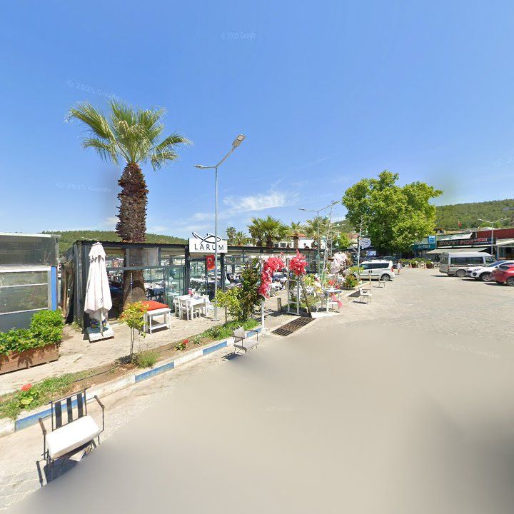 Fotoğraf 7