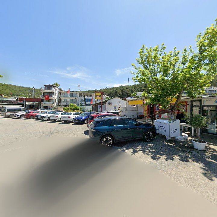 Fotoğraf 8