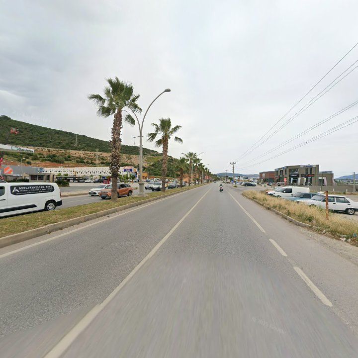 Fotoğraf 8