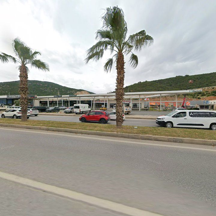 Fotoğraf 7