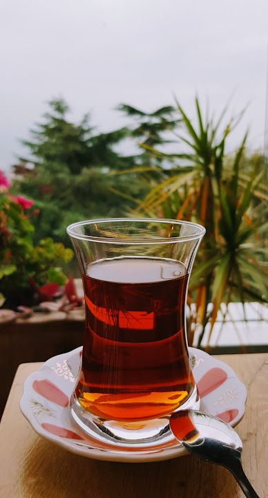Fotoğraf 21