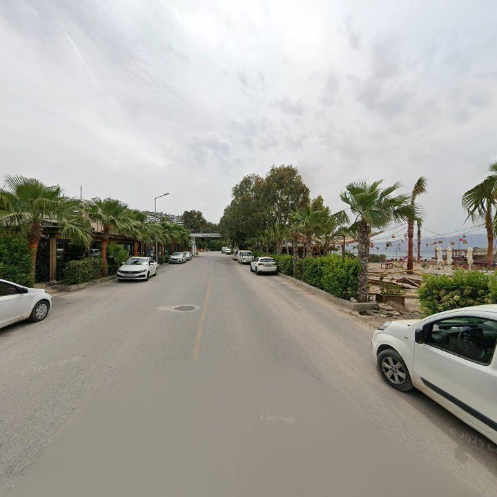 Fotoğraf 10