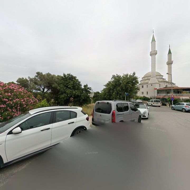 Fotoğraf 16
