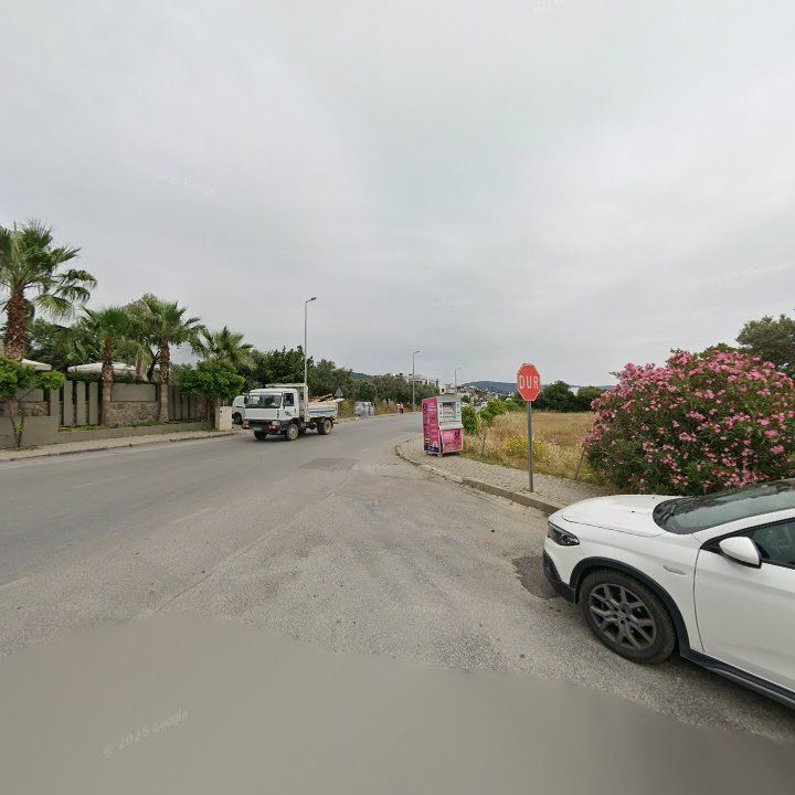Fotoğraf 15
