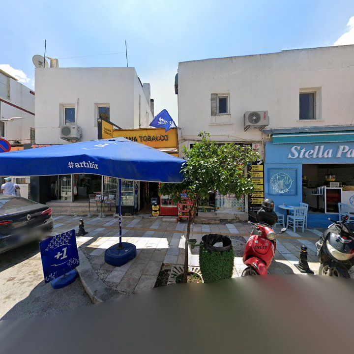 Fotoğraf 10