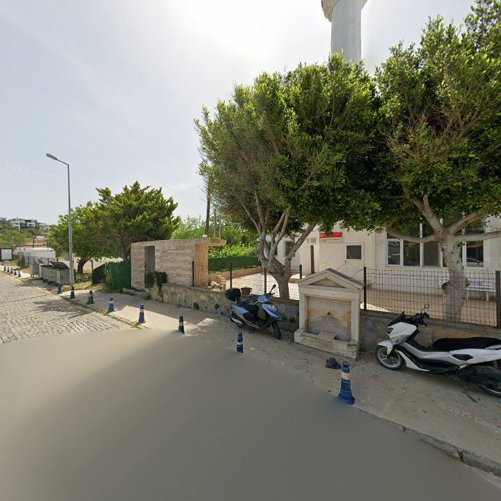 Fotoğraf 9