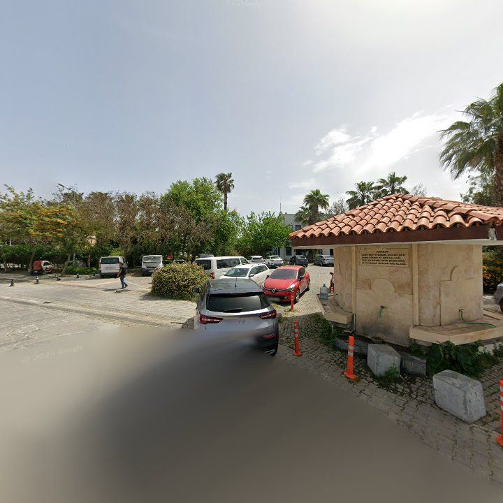 Fotoğraf 8