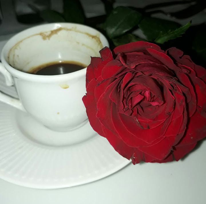 Fotoğraf 24