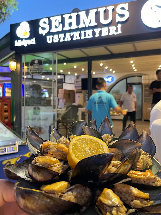 Fotoğraf 8