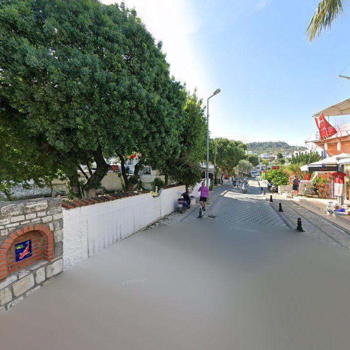 Fotoğraf 15
