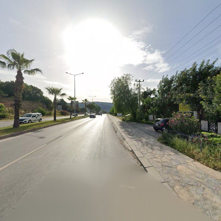 Fotoğraf 9