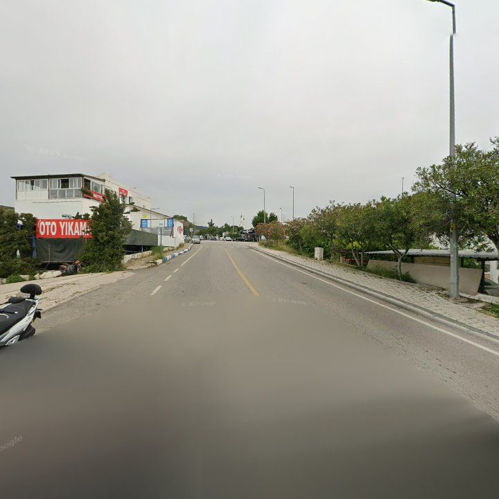Fotoğraf 11