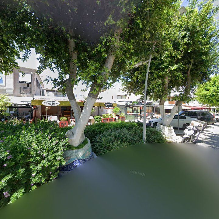 Fotoğraf 8