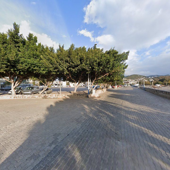 Fotoğraf 6