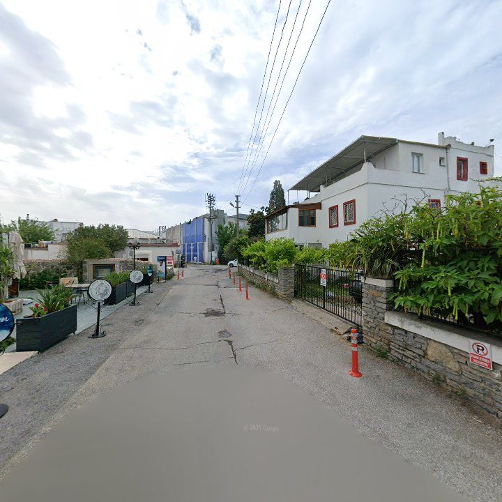 Fotoğraf 10
