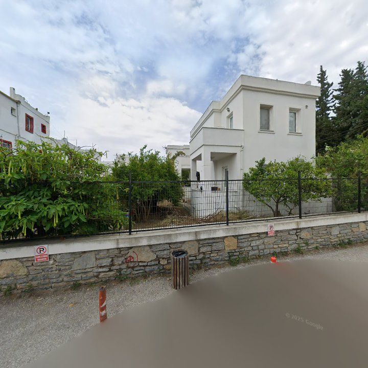 Fotoğraf 11