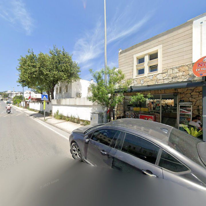 Fotoğraf 10