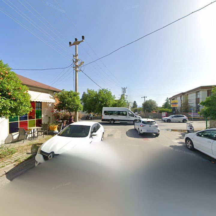 Fotoğraf 8