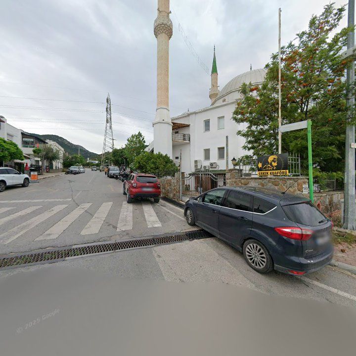 Fotoğraf 8