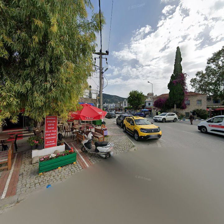 Fotoğraf 7
