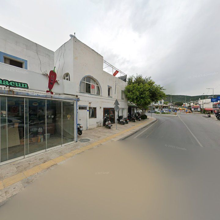 Fotoğraf 10