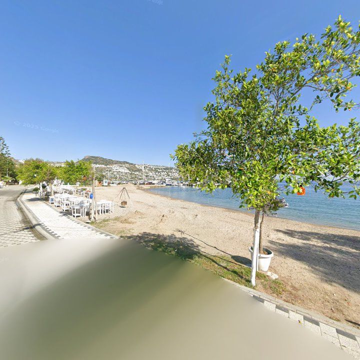 Fotoğraf 8