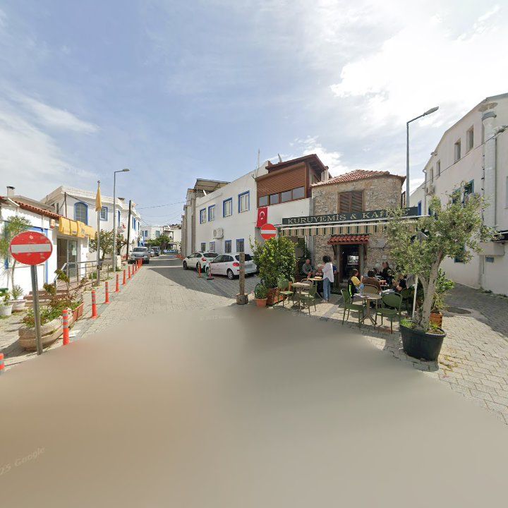 Fotoğraf 11