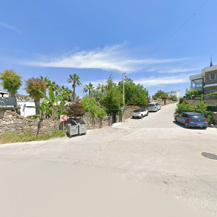 Fotoğraf 11