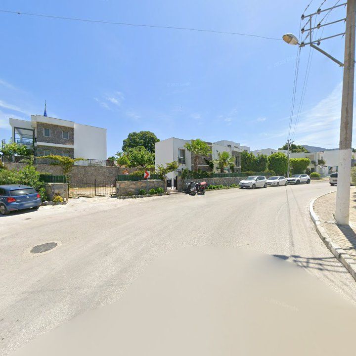 Fotoğraf 12