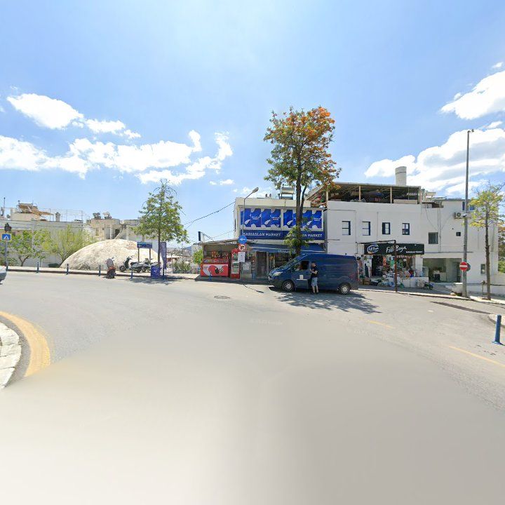 Fotoğraf 8