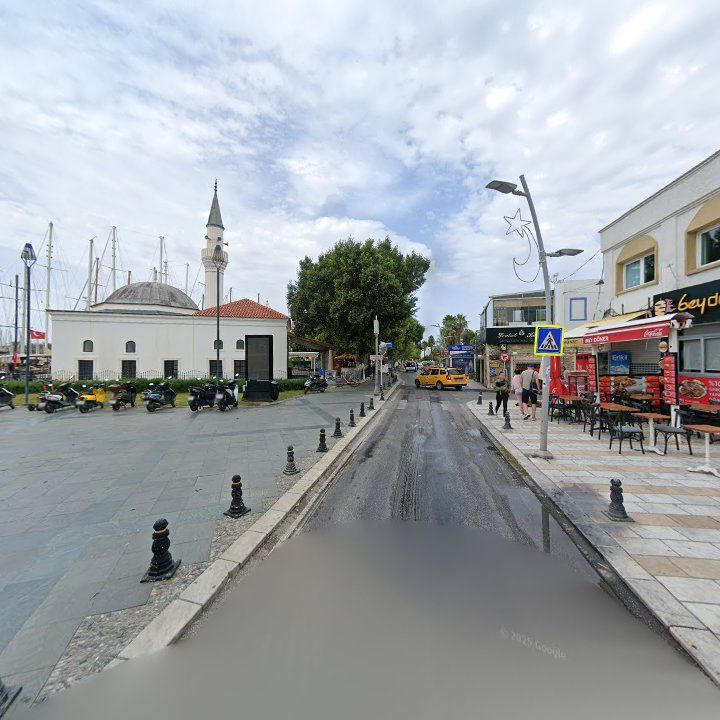 Fotoğraf 8