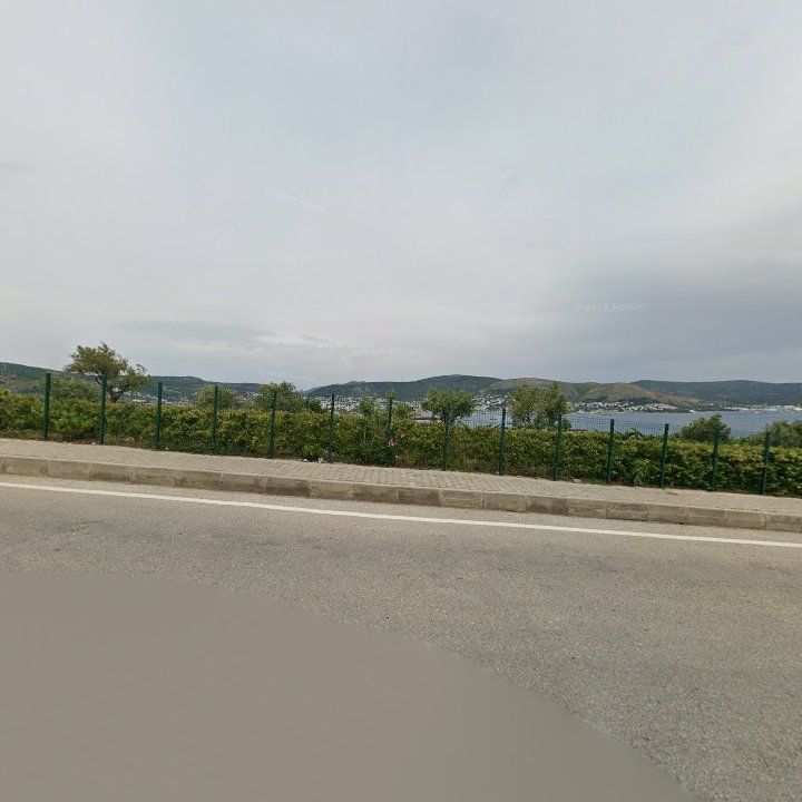 Fotoğraf 9
