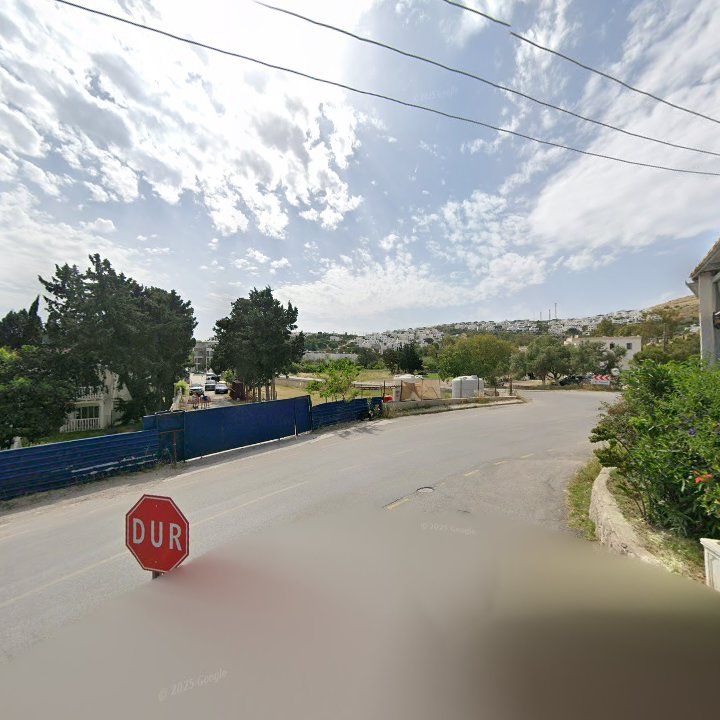 Fotoğraf 11